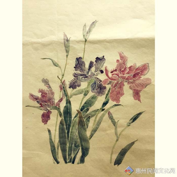 【没骨花卉】鸢尾花