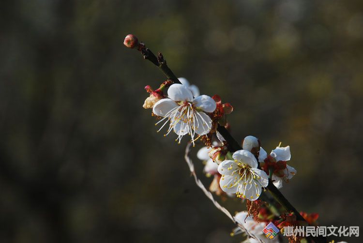 DSC_0072.JPG
