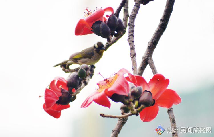 DSC_6817.JPG