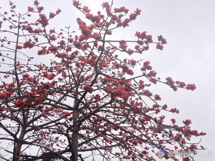 QQͼƬ20150316221317.jpg