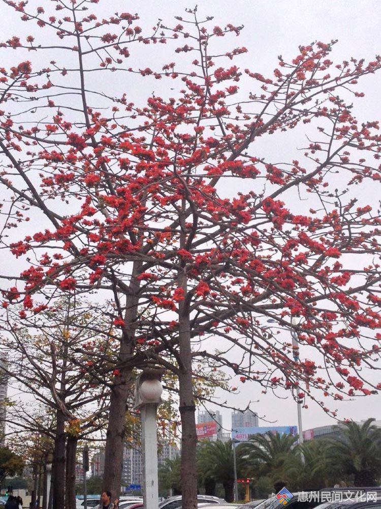 QQͼƬ20150316221311.jpg