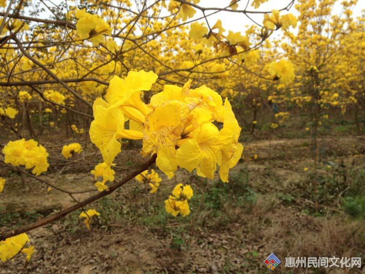 QQͼƬ20150316220511.jpg