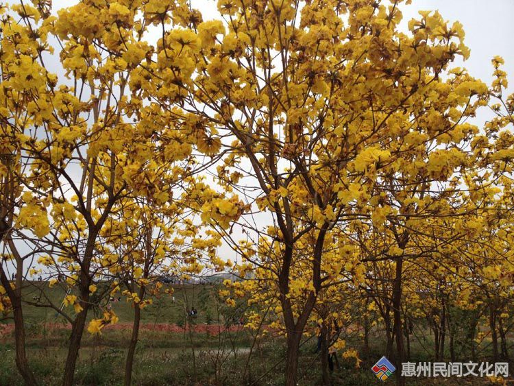 QQͼƬ20150316220504.jpg