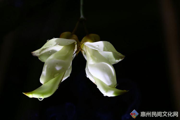 QQͼƬ20150322061400.jpg