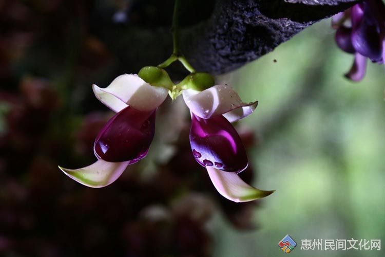 QQͼƬ20150322061353.jpg