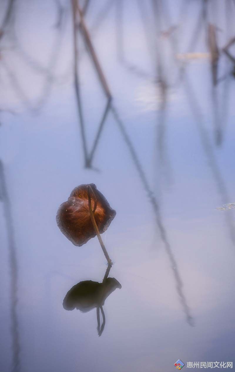 DSC_6935.jpg