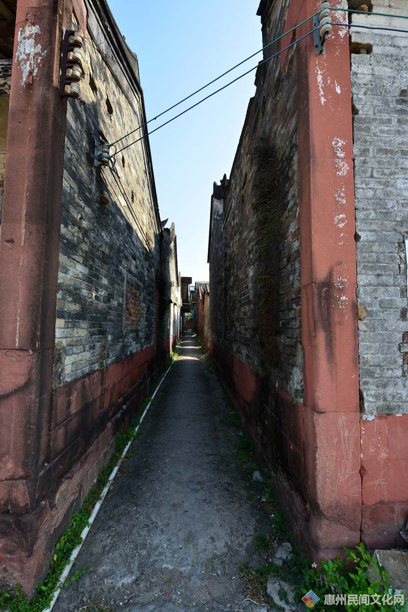 DSC_4254_.jpg